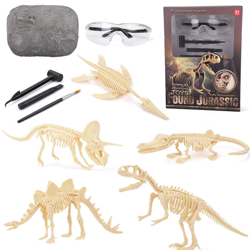 Science Toys - مجموعة تنقيب عن حفريات الديناصورات STEM،
